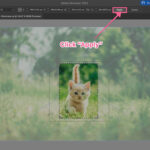Cropping an image using the Crop Image function in Illustrator.