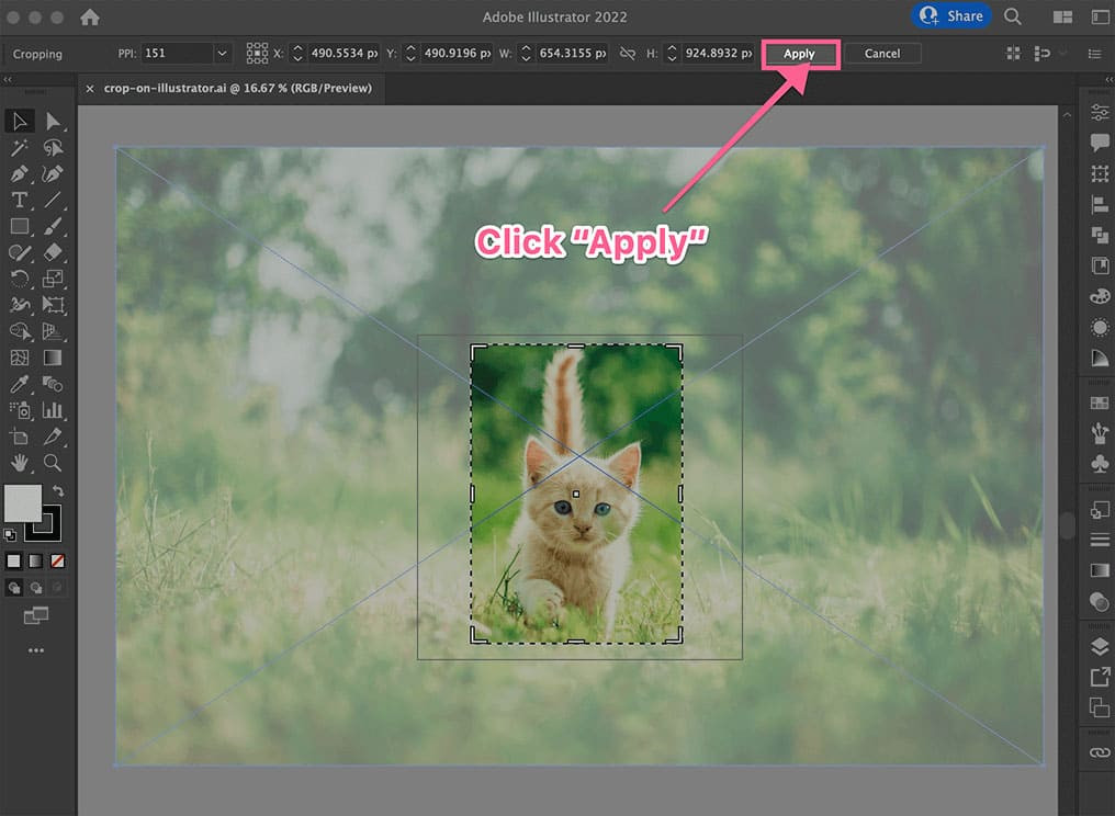 Cropping an image using the Crop Image function in Illustrator.