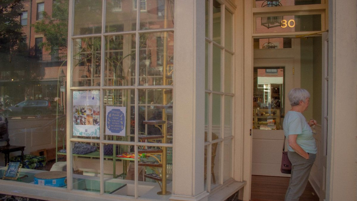 Sanctuary Cafe Beacon Hill photos: Curious cat observes passersby from the window of A Sanctuary Cafe.