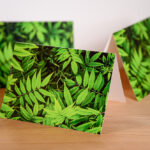 Professionally printed greeting card featuring a green leaf, created from an iPhone photo.