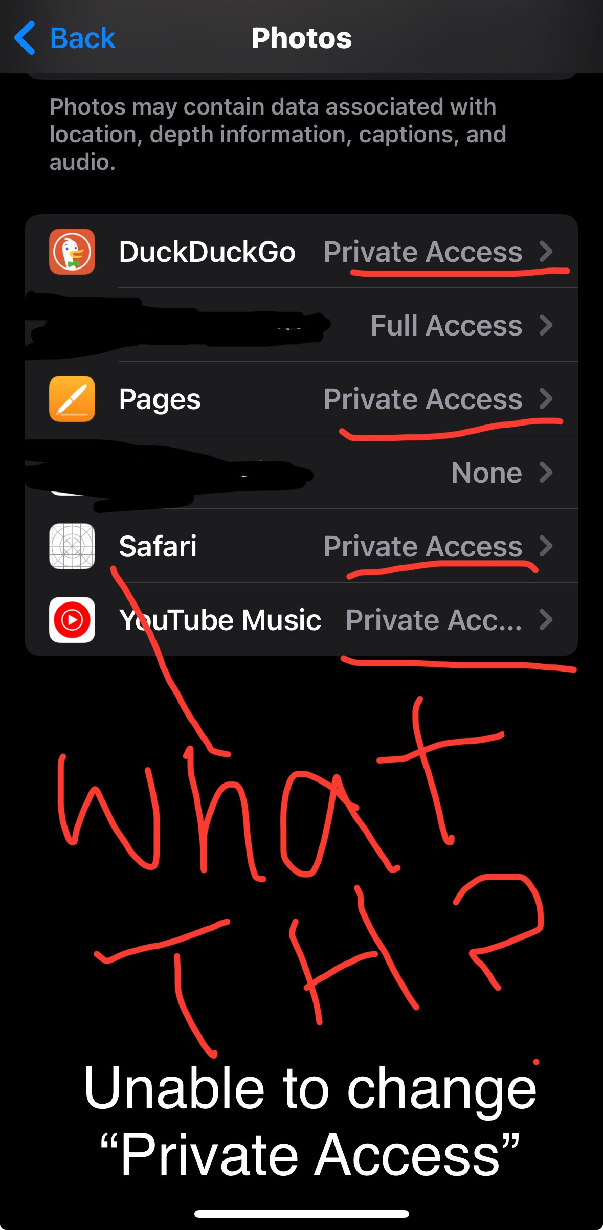 Screenshot of iPhone photo privacy settings showing 'Private Access' selected for an app, illustrating the iOS 17 'Private Access' issue.