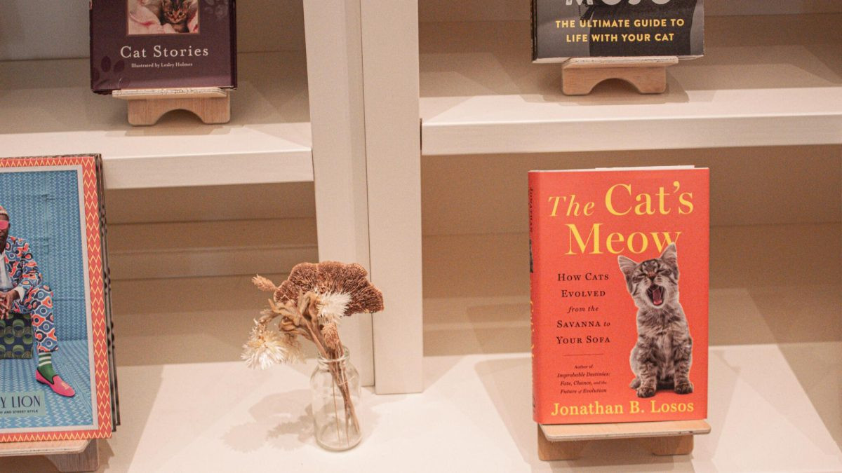 Sanctuary Cafe bookstore photos: Cozy micro-bookstore corner featuring cat-themed books at A Sanctuary Cafe.