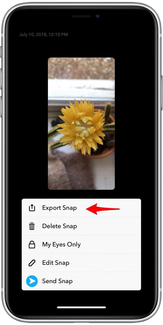 Export Snap Option in Snapchat Memory Options