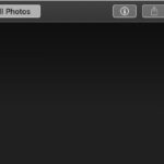 alt text: A screenshot of the Google Photos interface on desktop.