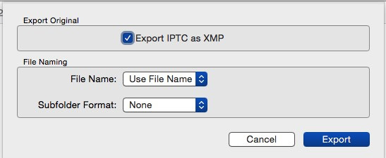 Screenshot of export options with include IPTC metadata checked.