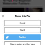 Pinterest share button on iPhone, showing options to share or save