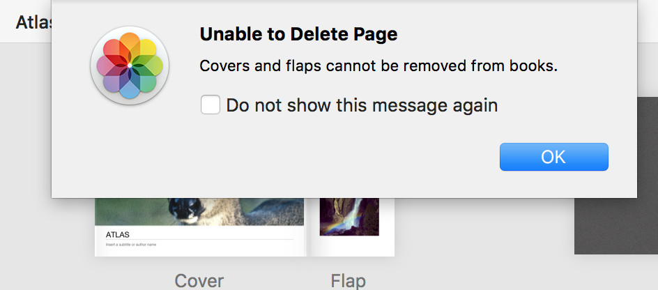 Error message "unable to delete page: covers and flaps cannot be removed from books" displayed in Shutterfly, appearing when attempting to delete a photo from the flap in "All Pages" view, highlighting the need to double-click the page for individual photo selection and deletion.