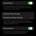 iPhone camera roll showing blurry photo thumbnails after iOS 15 update
