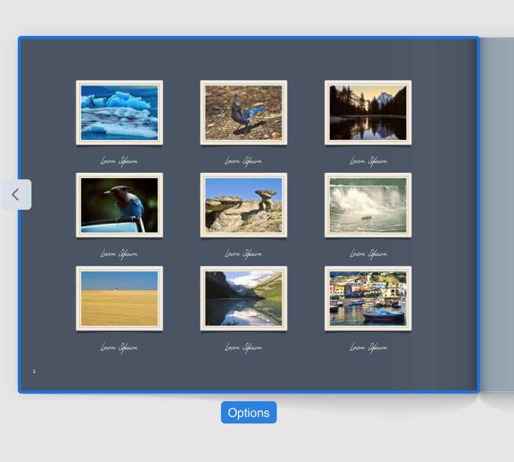 Example of a page layout with nine photos in a Photos book project.