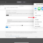 iPad Share Icon leading to the print option