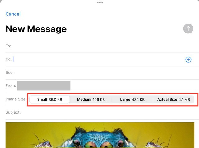 iOS Mail attachment size options: Small, Medium, Large, and Actual Size