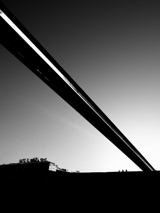 Black and white silhouette of trees against a bright sky, demonstrating effective exposure control