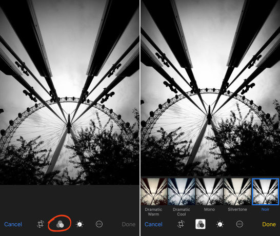 Screenshot of iPhone editing interface showing the Noir filter option