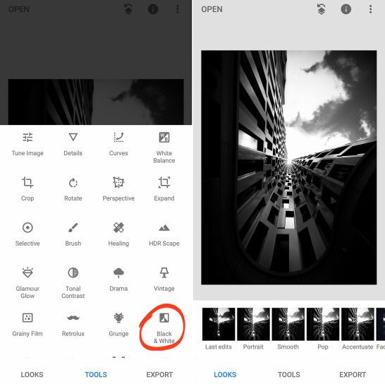 Screenshot of Snapseed app interface showing black and white filter options