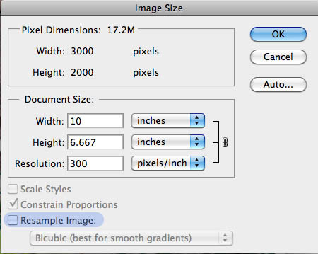 alt text: The Resample Image checkbox in Photoshop's Image Size dialog box.