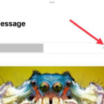 iPhone Mail app showing image attachments with default small file size selected