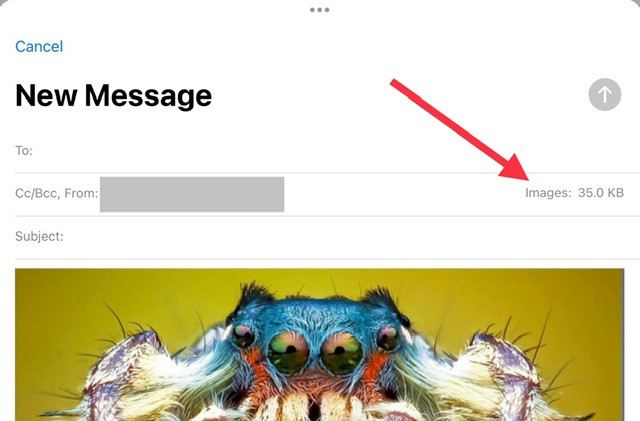 iPhone Mail app showing image attachments with default small file size selected