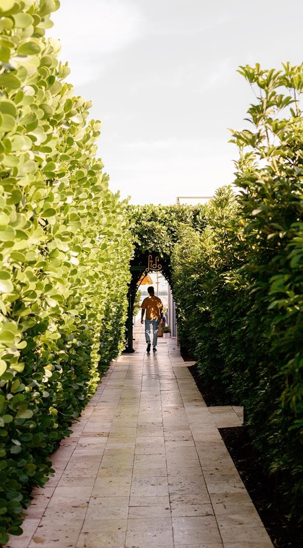Professionally edited photo of a man walking on a vine-covered path with enhanced contrast