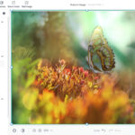 How to Make Your Photos High Resolution: A Comprehensive Guide