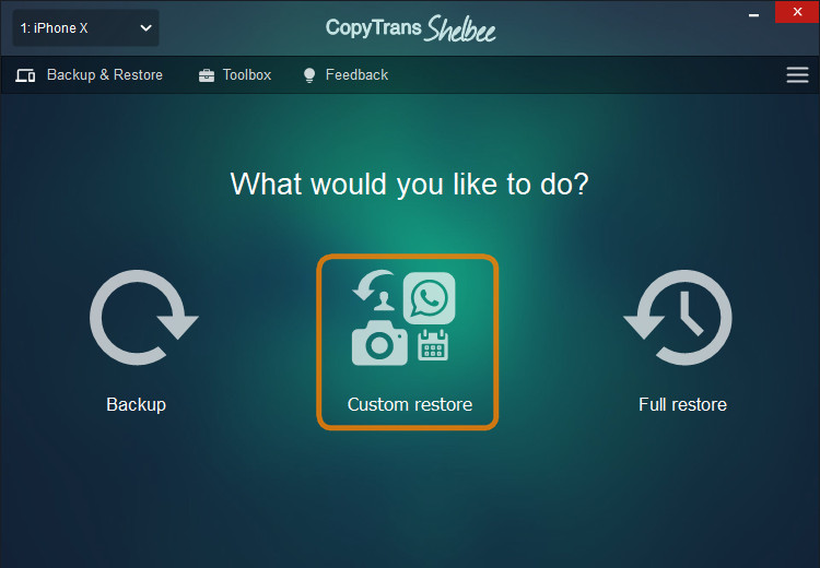 CopyTrans Shelbee Custom Restore Interface