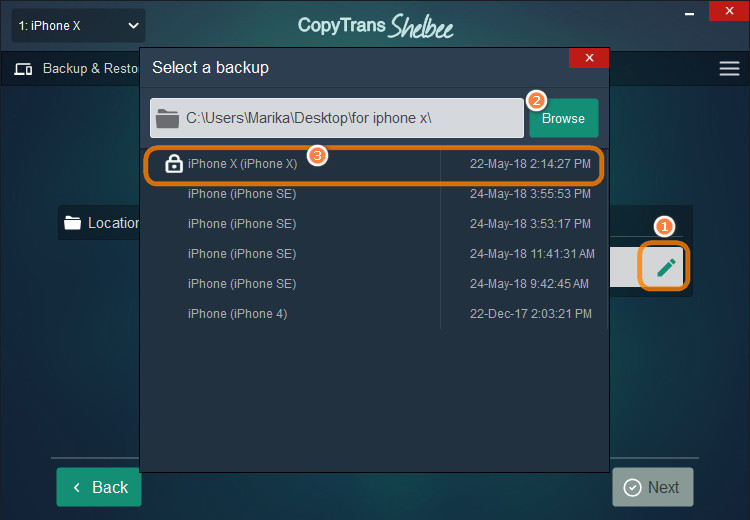 Select Custom Restore in CopyTrans Shelbee
