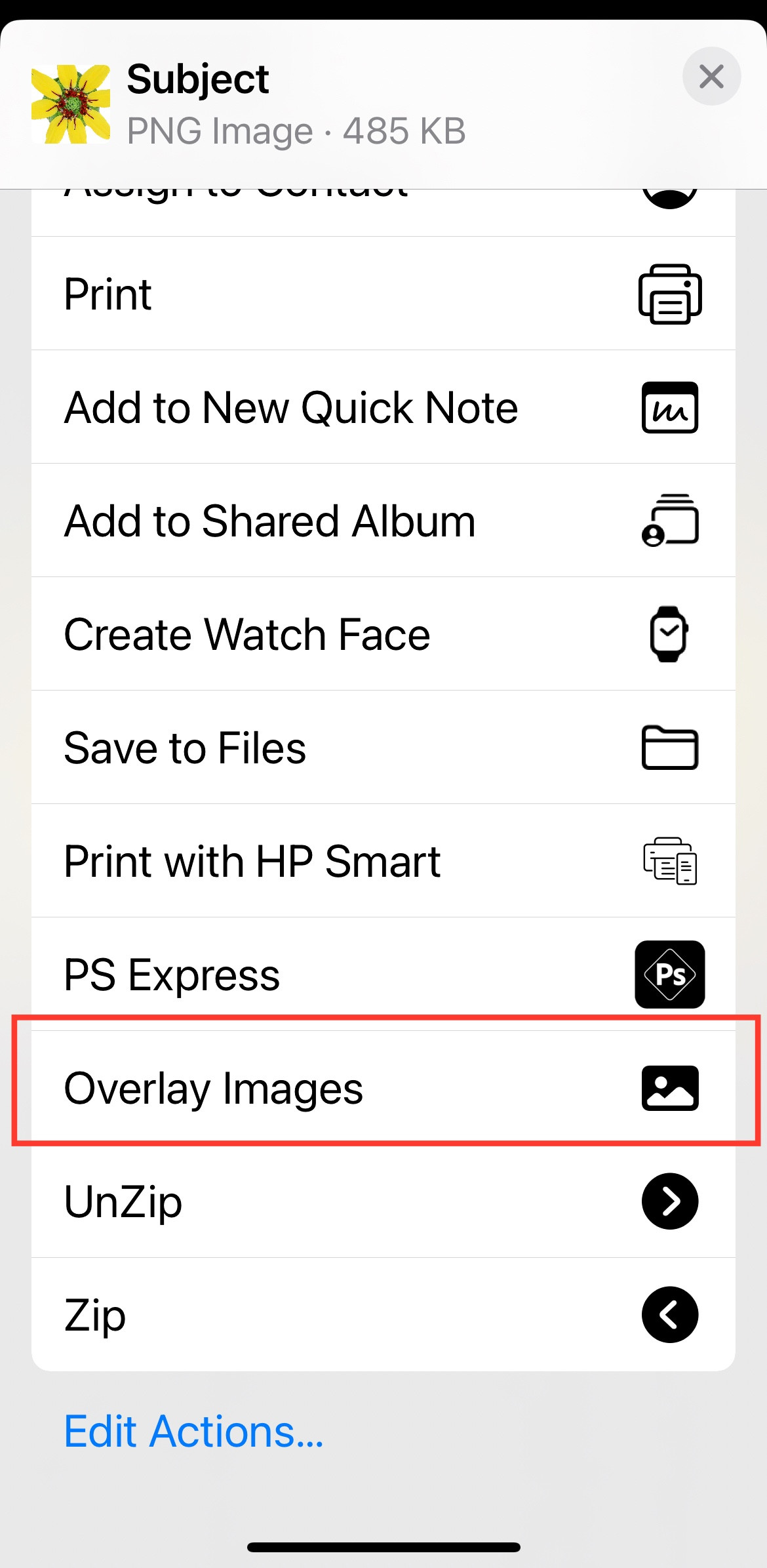 Screenshot showing the share sheet options for a photo cutout on iPhone.