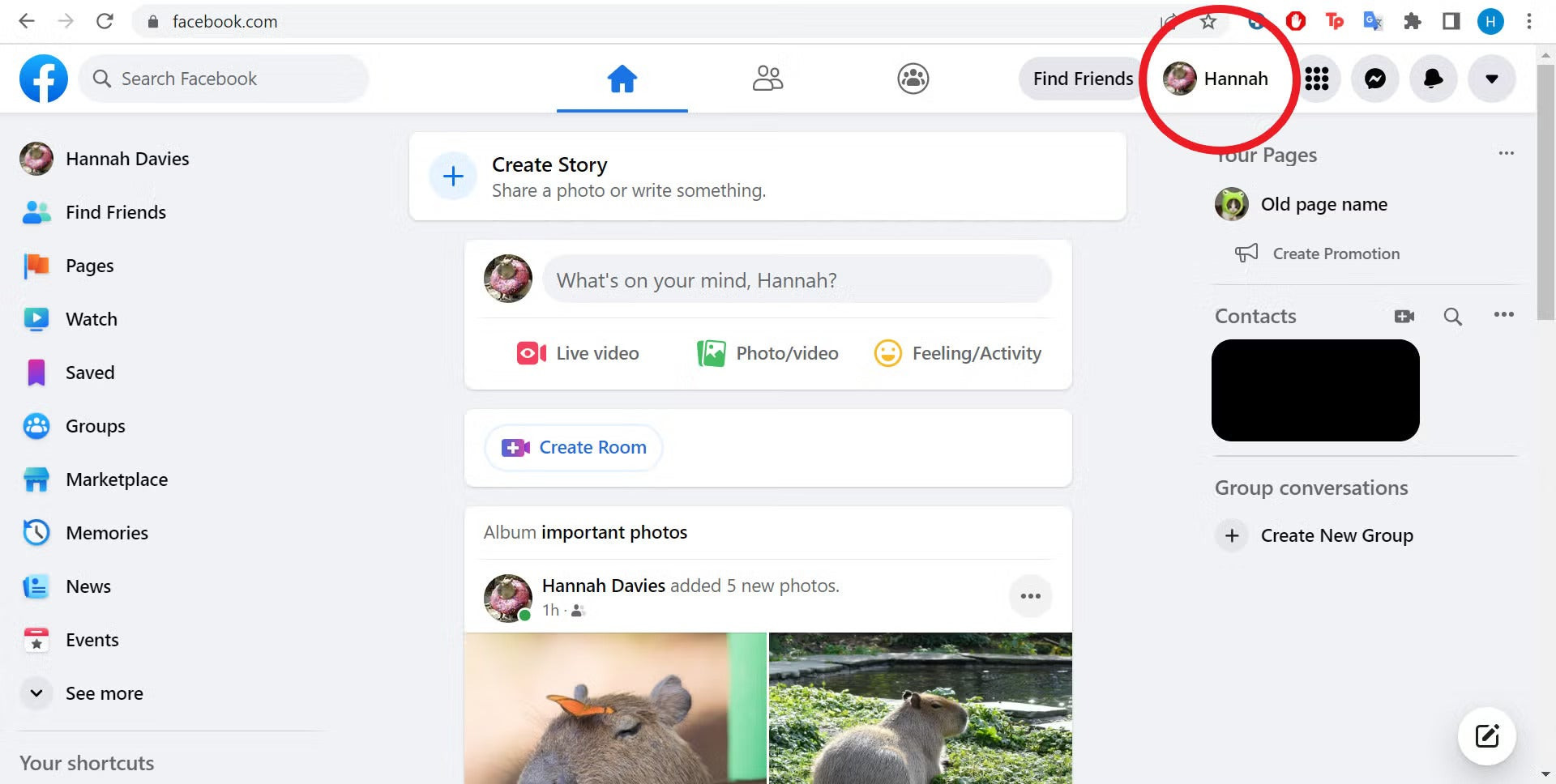 Facebook Home Page with option to open your profile highlighted