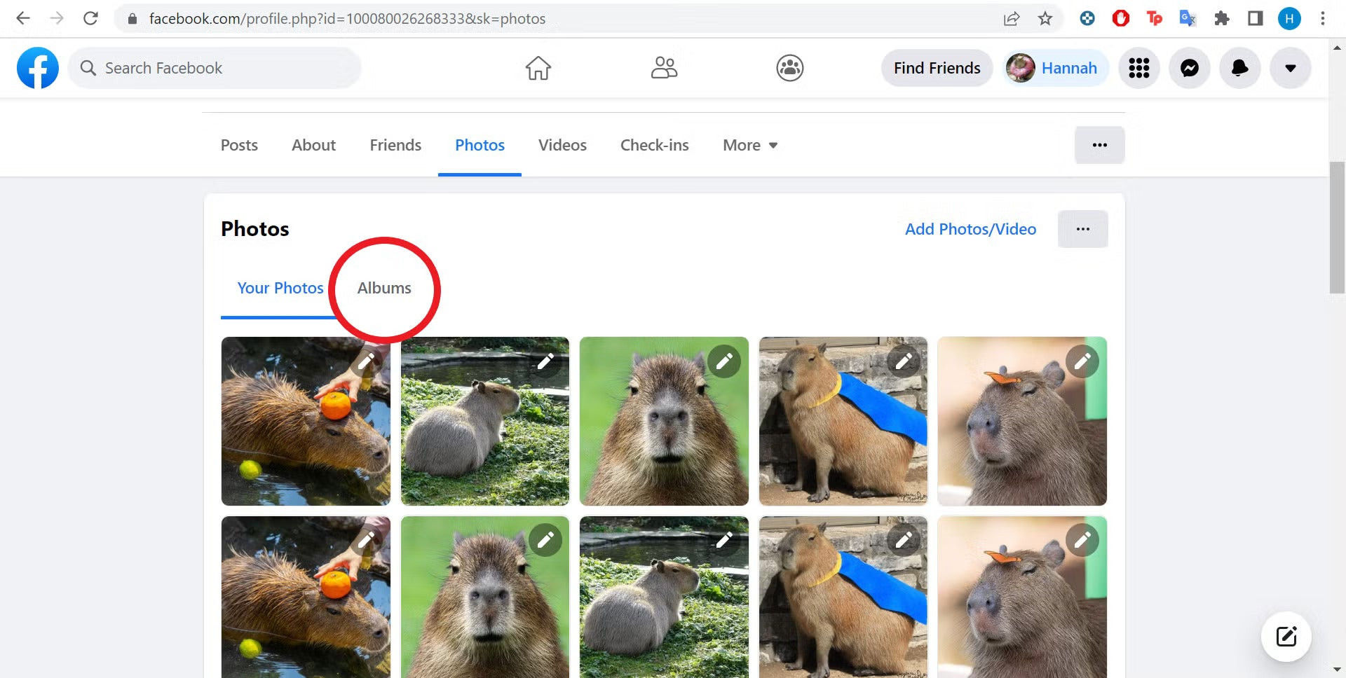 Your Photos page on Facebook with Albums option highlighted