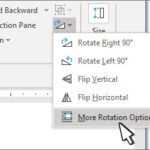 Rotation menu with More Rotation Options selected