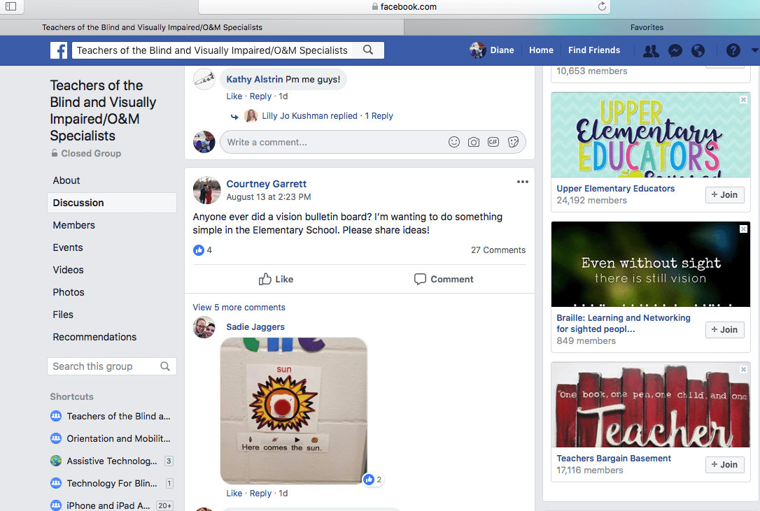 Screenshot of Facebook thread of a Community page for TVIs with a photo of a tactile bulletin board idea that is not described.