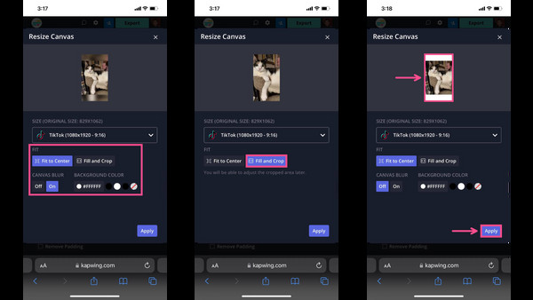 Example of a resized photo on TikTok