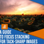 A guide to focus stacking for tack-sharp images