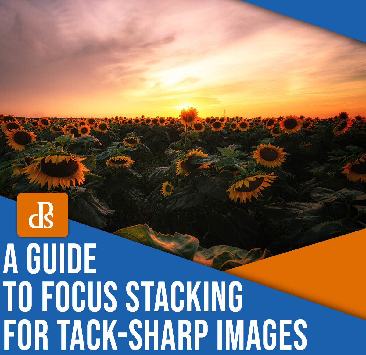 A guide to focus stacking for tack-sharp images