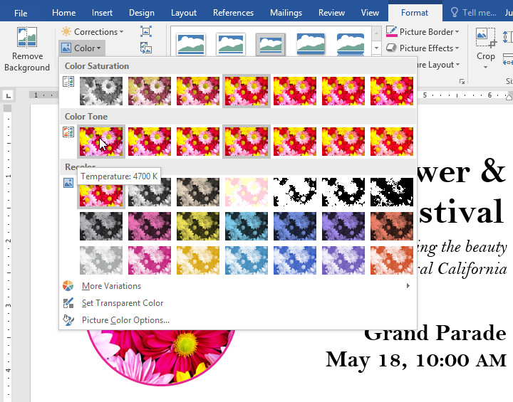 Color adjustment options for images in Word