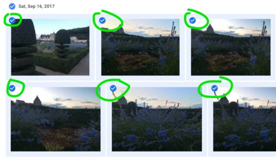 Selected photos highlighted in blue in Google Photos