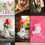 Accessing Camera Roll for Instagram Story Collage