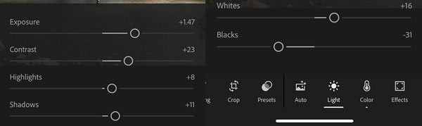 Lightroom Mobile Light Panel adjustments for film effect: Exposure, Contrast, Highlights, Whites, Shadows, and Blacks