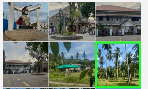 Choosing a Photo from Library