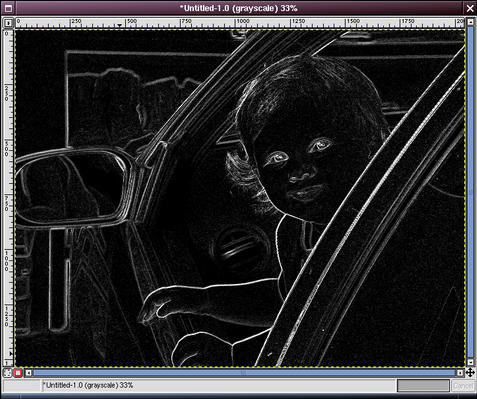 Adjusted levels of the grayscale edge detection image in GIMP