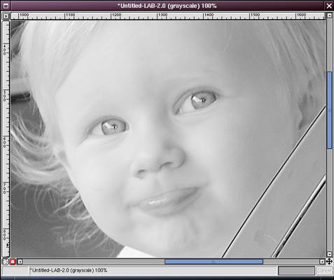 Zoomed-in view of the sharpened image in GIMP, focusing on detail enhancement