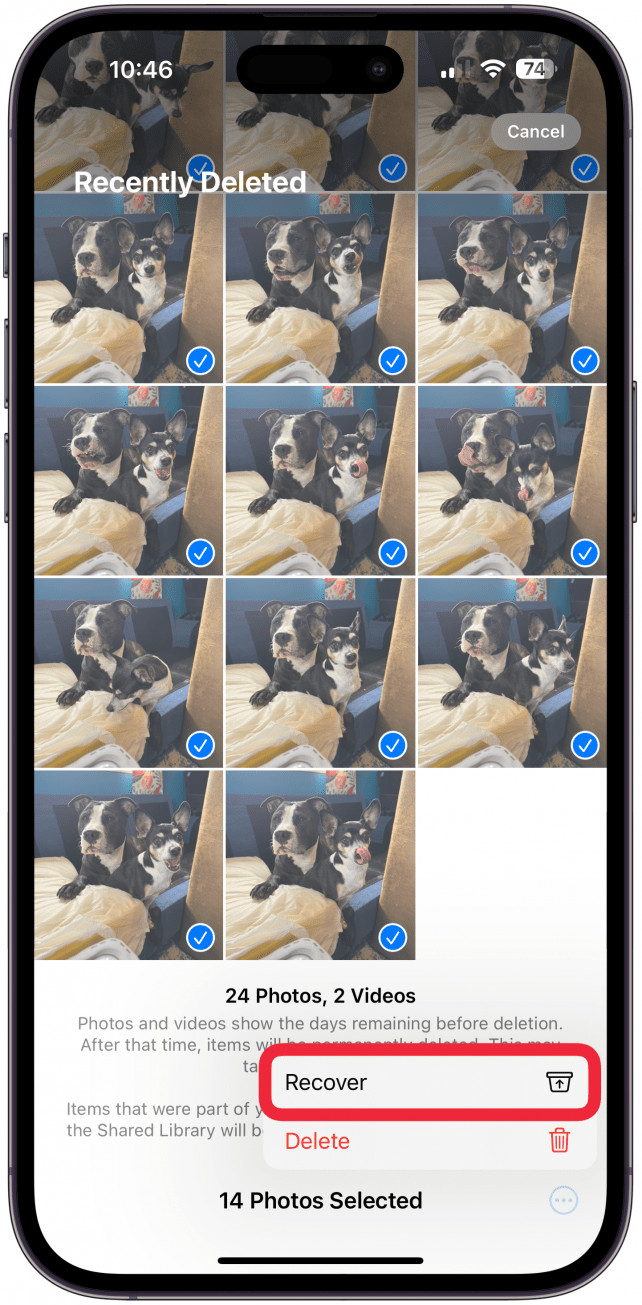 Selecting photos within the Recently Deleted album to either permanently delete or recover them using the buttons at the bottom of the screen.
