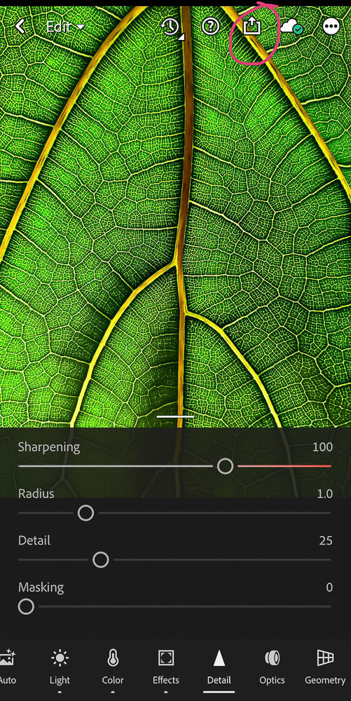Lightroom Mobile export interface showing settings for high-resolution printing of iPhone photos.
