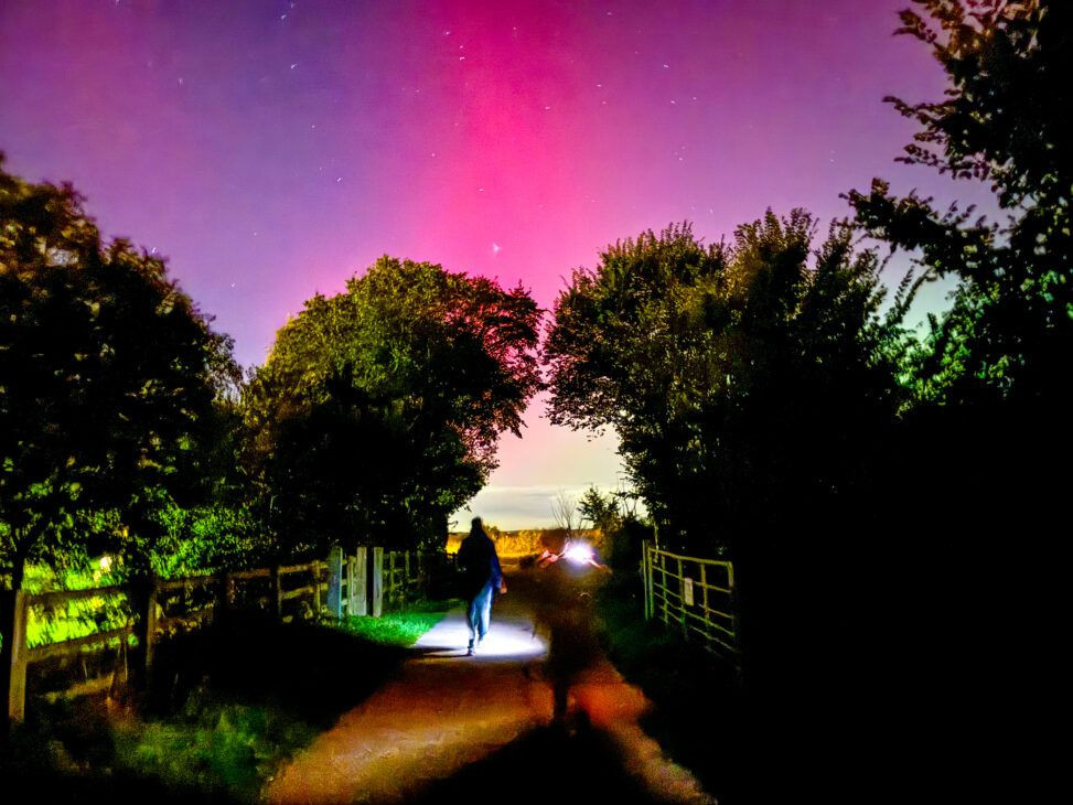 Aurora borealis reflected in a lake with silhouetted trees in the foreground, captured on iPhone