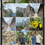 iPhone showing multiple photos selected in the Photos app