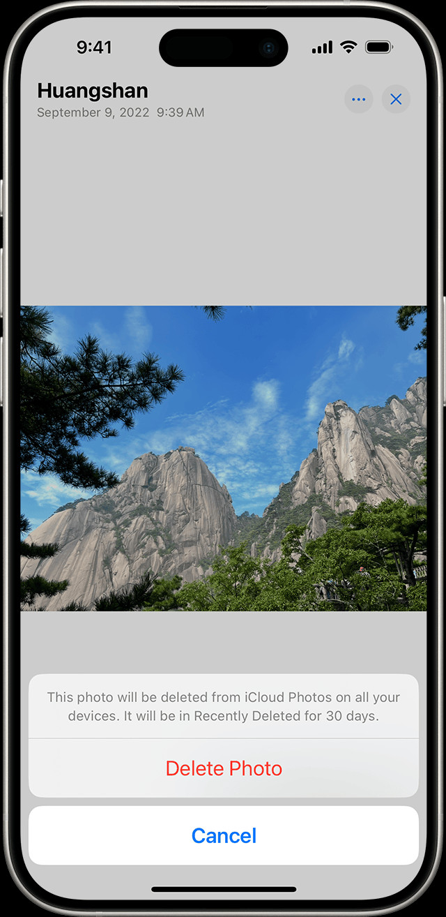 iPhone displaying the Delete Photo option