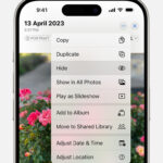Tapping the hide option from the more menu on an iPhone to hide a photo.