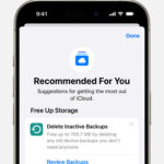 iPhone screen showing the Recommended For You suggestions within iCloud settings.