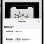 Using Live Text to select and copy text from an image on an iPhone.