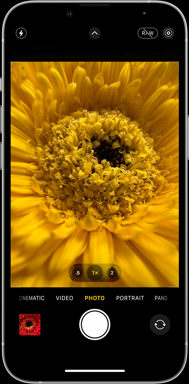 iPhone with Camera app open to take a photo