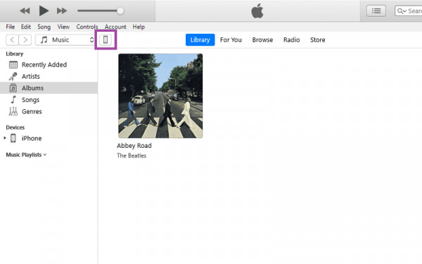 iPhone Icon in iTunes